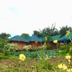 CHAD NATURE FARMS.jpg